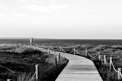 Invest for what next_XEF 400x267